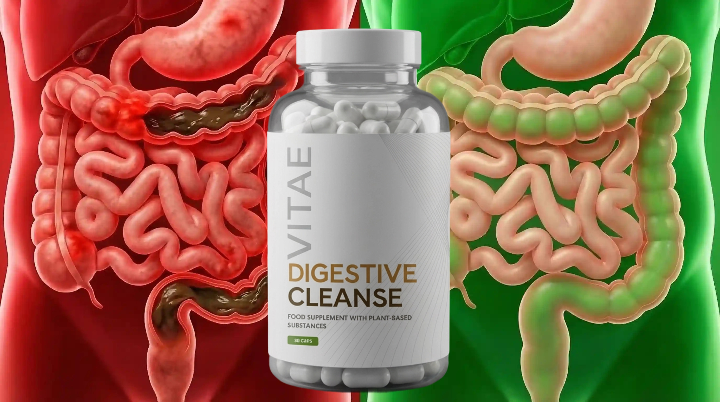 Verdauungsreinigung Vorher Nachher